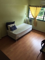 Blk 354 Bukit Batok Street 31 (Bukit Batok), HDB Executive #174845572